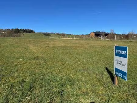 magnifique terrain de 50 ares à durbuy (palenge)