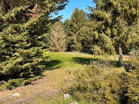 propriete maison etang chalets sully sur loire