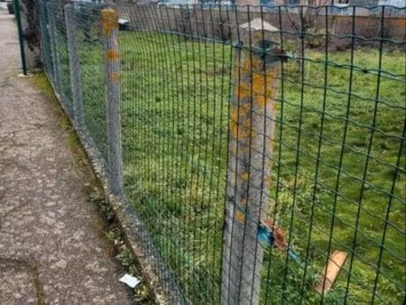 terrain viabilisé constructible