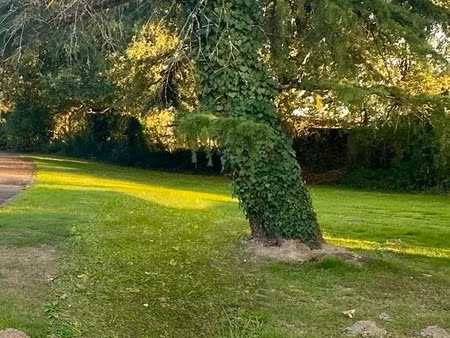 vente terrain à saint-philbert-de-grand-lieu (44310) : à vendre / saint-philbert-de-grand-