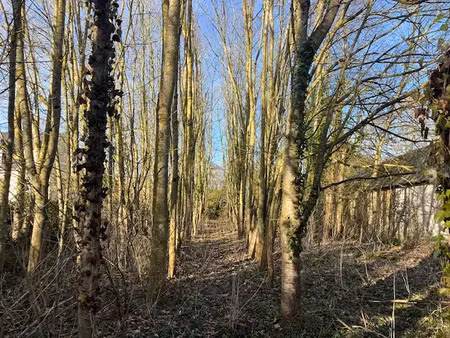 vente terrain à caulnes (22350) : à vendre / 885m² caulnes