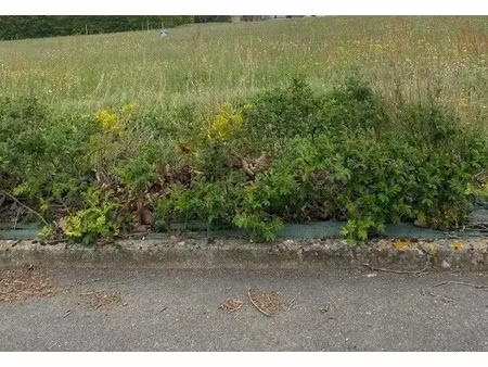 vente terrain à saint-valérien (85570) : à vendre / saint-valérien