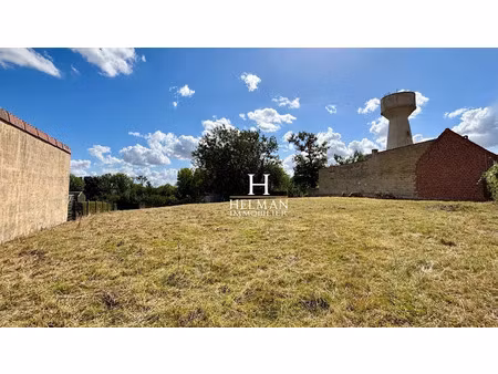 vente terrain à batir 944 m² à dohem (62380)  60 000 €
