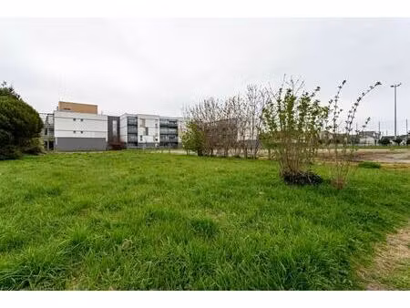vente terrain 5 000 m²