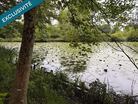 vente terrain 4457 m² à petit-auverné (44670)  39 000 €