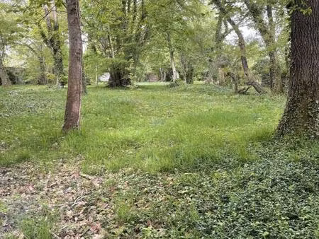 terrain de 3335m² avec maison à rénover