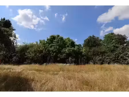 vente terrain à batir 880 m² à bruyeres-le-chatel (91680)  140 000 €