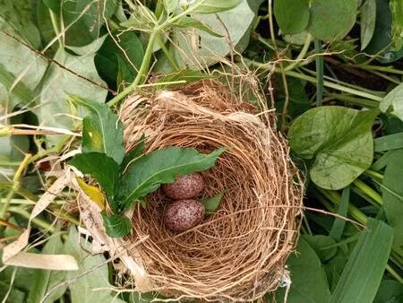 loue petit terrain de loisirs