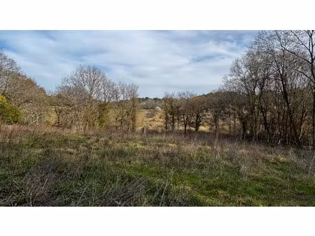 vente terrain 800 m² à fargues (33210)  148 000 €