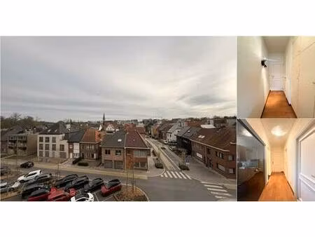 appartement à louer à ciamberlanidreef 62 beveren (rbv59652)