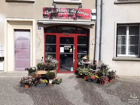 vente locaux professionnels à lessay (50430)  26 800 €