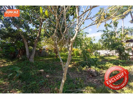 exclusif - terrain plat en impasse - bord de ravine - à deux pas du lycée roland garros (l