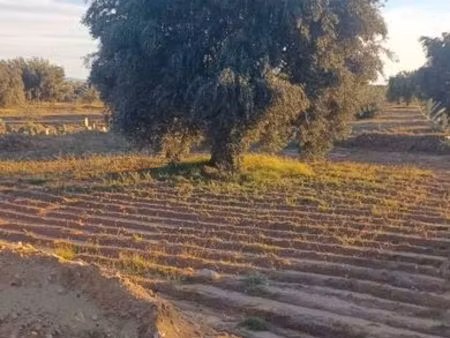 recherche terrain constructible