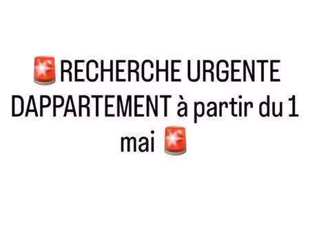 recherche urgente d’appartement