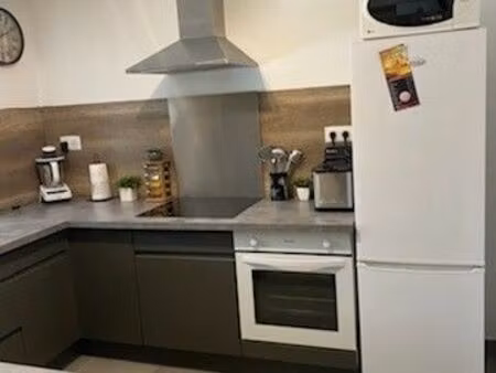 loue grand t2 49m2 climatisé a++ avec. jardin