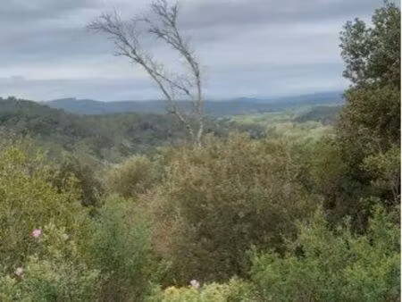 vends parts 50% terrain zone n