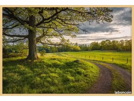 recherche terrain non constructible à holnon