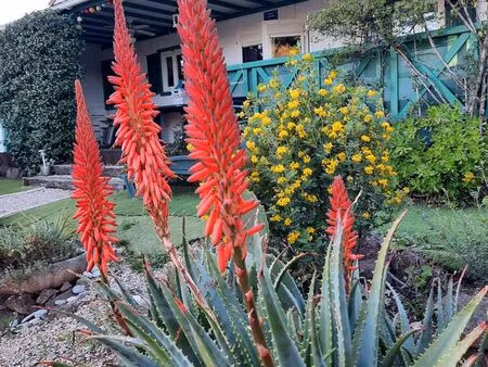 chalet climatisé en dur dans résidence 5 étoiles