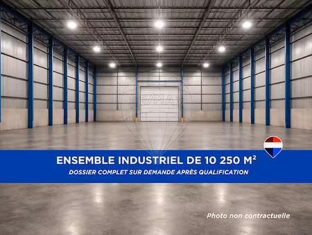 vente locaux professionnels 5 pièces 10250 m² à auxerre (89000)  2 450 000 €