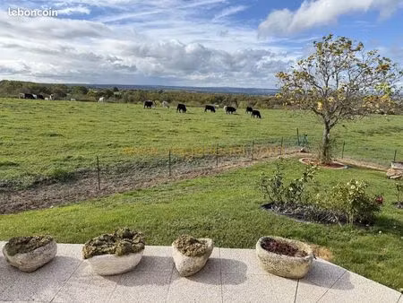 maison en viager 4 pièces 101 m²