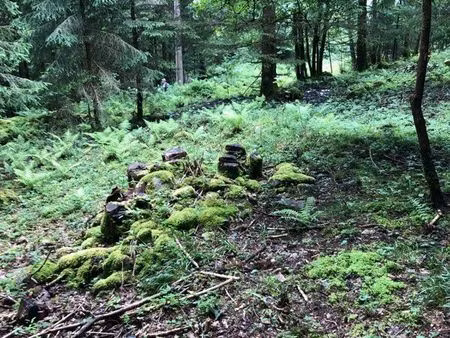 location/echange/vente terrain gerardmer