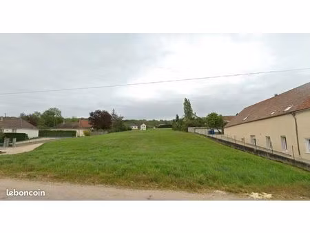 terrain constructible