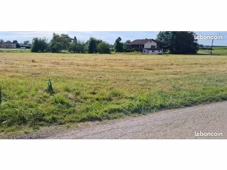 beau terrain plat et constructible de 1279 m2