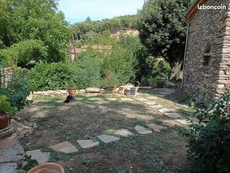 maison avec grand terrain