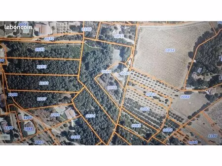 magnifique terrain de 14 000 m²