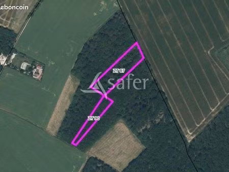 terrain 12290 m² champignelles