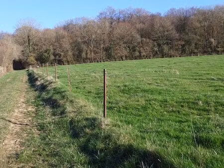 grand terrain constructible