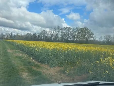 terrain vinneuf 2800m2