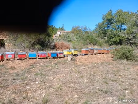 recherche terrain ou abrit