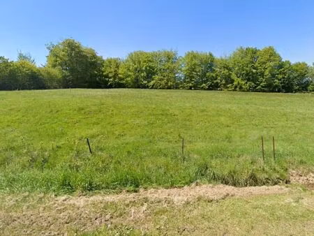 terrain 2 113 m² regniowelz