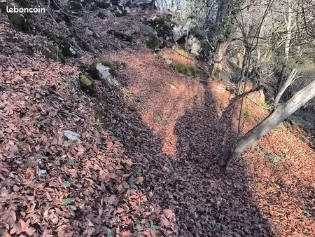 terrain atypique en montagne  3400 m²  exposition sud sud-est  non encaissé  source proche