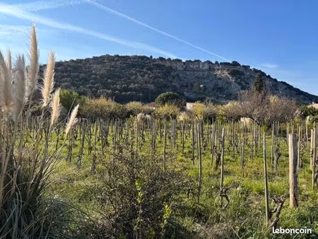 terrain 416 m² cornas