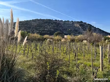 terrain 520 m² cornas