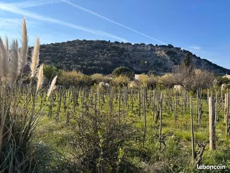 terrain 526 m² cornas