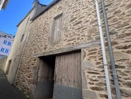 maison 44 m² rieupeyroux