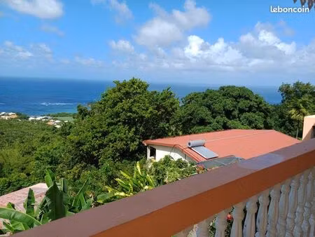 location long terme ou colocation