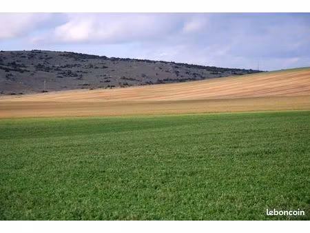 recherche terrain 6000m2