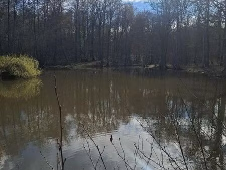 terrain 57000 m² humbligny