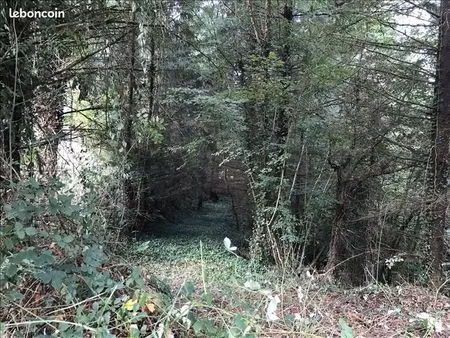 terrain à vendre constructible