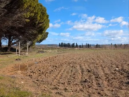 terrain de loisirs et potager avec eau