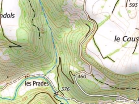 2205m2 taillis bois en pene nc rodelle 12340 aveyron