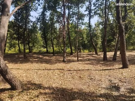 terrain constructible 1545 m² sorio haute corse