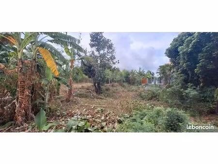 terrain 325m2 rivière saint louis