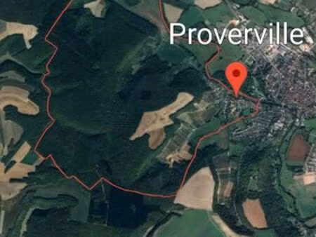 à vendre 2 parcelles de bois à proverville aube (10)