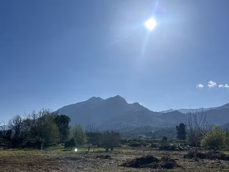 terrain 613 m² santa-lucia-di-moriani