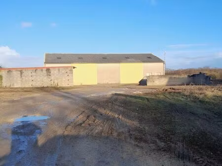 local artisanal / hangar avec terrain clos – 5 920 m² – massay (18120)